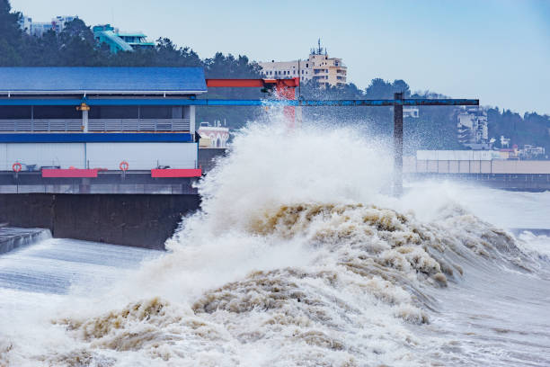 Disaster Risk Assessment