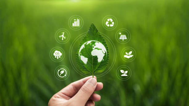 Environmental Baseline Studies